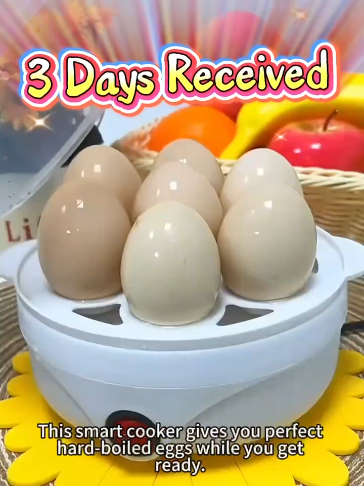 Electric Egg Cooker Steamer 150W Auto Shut-Off Boiler for Soft Hard Boiled 2/6 Eggs Kitchen