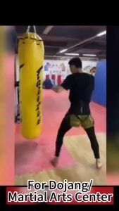 【Buy 1 Get 5 Free】Boxing Punching Bag for Adults PU Heavy Duty MMA Fitness Sandbag With Boxing Glove Punching Bag Boxing Fitness Sandbag With Boxing Gloves Hand Wrap Hollow Heavy Duty Taekwondo for Adult Kids 80cm 100cm