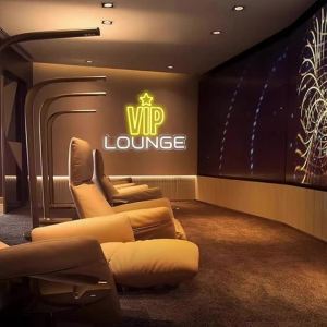 VIP Lounge Neon Signs for Wall Decor Rest Room/Toilet Neon Lights Signs for Business Decor for Bar Hotel Cafe VIP Room Decor