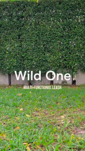 Wild One - Leash สายจูงสุนัข │ Blush - สายจูงสุนัข สำหรับเดวนตัว รุ่น Blush