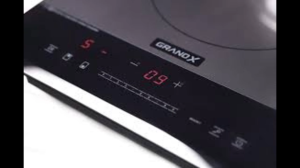 Bếp từ domino GrandX GX ID505 2 vùng 3500W mặt kính Euro Platinum Malaysia thiết kế nhỏ gọn 28cm
