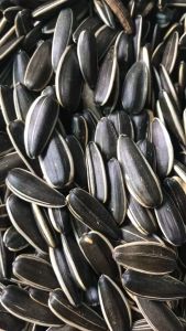 Hạt hướng dương rang muối Lets Nuts hộp 500g vị nguyên bản hạt to tròn chắc giòn thơm