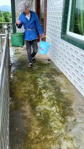 Chổi sắt sợi inox 304 không gỉ chà rong rêu vệ sinh sân vườn lối đi bể bơi