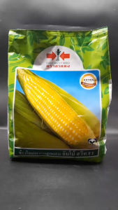 ศรแดง ข้าวโพดหวาน จัมโบ้สวีท (ขนาด 1 กิโลกรัม) หมดอายุ 02/05/2569 เมล็ดพันธุ์ ข้าวโพด ลอตใหม่ ฝักใหญ่ น้ำหนักดี เหนียว นุ่ม หวาน อร่อย ขายง่าย