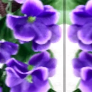 QSBT03 Bunga Juntai Plastik Dekorasi Bunga Rambat Sintetis Tanaman Hias Gantung Dinding Artificial