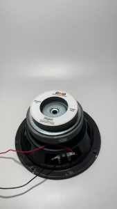 Loa bass 20 BMB  gân mút côn 42 từ kép 120+100 - giá 1 cái
