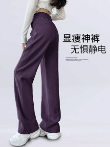 Purple High Waist Sport Pants Womens Thin Spring Autumn Casual Straight Leg Wide Leg Lamb Velvet Sweatpants Autumn Winter