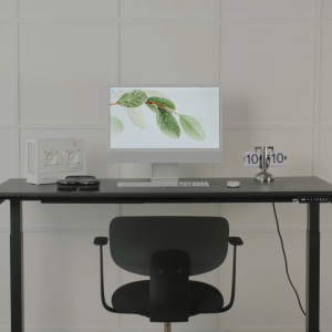 Omnidesk Classic Wildwood Compact (60cm Width) - The Compact Standing Desk