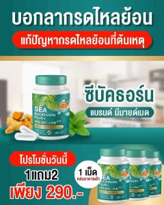 (ของแท้100%) Memymaid มีมายด์เมด อาหารเสริมกรดไหลย้อน กระเพาะอักเสบ แน่นท้อง ท้องอืด เสียด แสบร้อนกลางอก