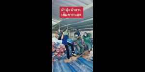 มุ้งไนล่อน มุ้งฟ้า ผ้าลาน ผ้าแยงเขียว ผ้ามุ่งไนล่อน ขนาด 7ม. X 30หลา (25ม.) ตา16 ตราเรือใบ (ผ้าไทย) หนา ทนทาน ไม่กรอบ เหมาะตากข้าว กันแมลง ผ้ามุ้งไนล่อน ผ้ามุ้ง ผ้ามุ้งไนล่อน ราคา - Lazada