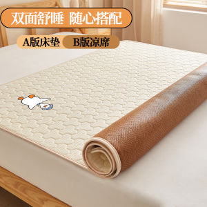 Đệm Lò Xo Tre Mát Mùa Hè Mùa Đông Đệm Lò Xo Tre Mềm Mại Dùng Tại Nhà Phòng Ngủ Đệm Lót Đơn Cho Sinh Viên Ký Túc Xá Đệm Lò Xo Hai Mặt