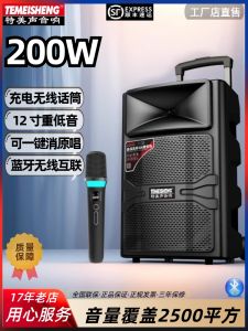 Temeisheng 12-Inch Outdoor Portable Bluetooth Speaker with Wireless Microphone for Square Dancing And Karaoke High Power Sound