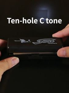 Mouth Organ Blues Harmonica Key of C 10 Hole 20 Tone Polyphony Diatonic Harp with Case for Blues Folk Jazz Pop for Gift