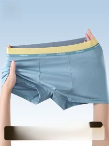 MiiOW | Quần lót nam Catman Pure Cotton kháng khuẩn thể thao thoáng khí quần đùi cạp vừa màu trơn thoải mái mùa thu 2024