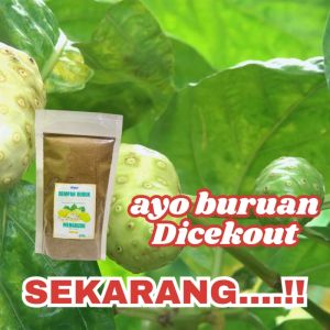 Buah Mengkudu Bubuk Pace Murni Premium Tanpa Campuran Morinda Citrifolia Herbal Organik Alami