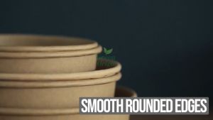 Kraft Paper Food Bowls 50pcs Biodegradable Disposable with Lid/ without Lid