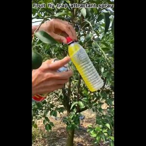 ✨30 days effective✨ Fruit fly trap attractant spray 500 ml insect attractant adhesive windproof and rainproof sticky long-lasting easy solution to fruit and vegetable problems Fruit Fly catcher trap Honey Trap Catcher Flies Insect Baits