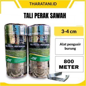 Tali Perak Sawah Pita Pengusir Burung Pipit Di Sawah Kebun Perikanan