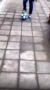 Bola Sepak & Futsal Bahan PU Kualitas Import: Panduan Lengkap