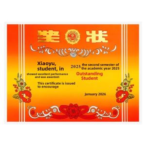 Feiyu | Printable Gold-Stamped Honor Certificate Paper