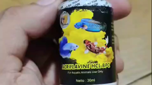 Obat Ikan Acriflavine HCl BPC 30ml Premium – Antiseptik & Anti Jamur Akuarium