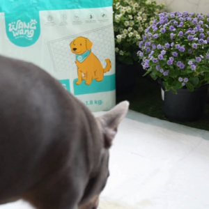 WangWang แผ่นรองซับสัตว์เลี้ยงพรีเมี่ยม 90x60 ซม. (20 แผ่น) – ซึมซับดี แห้งไว ลดกลิ่น ไม่ซึมเปื้อน