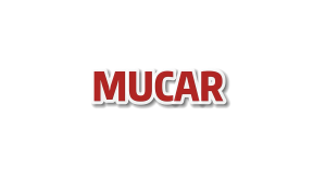 MUCAR CDE500 OBD2 Scanner car diagnostic scanner EOBD Clean Code Diagnostic Tool Check Engine Car Code Reader Car Diagnostic Scanner Lifetime Upgrade