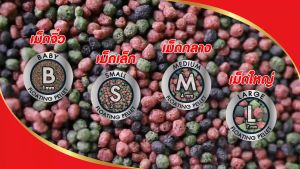 🔥 10% พิเศษ สูตรใหม่ อาหารปลาซากุระ Sakura Gold 2 ขั้น กก.แถม 200 กรัม