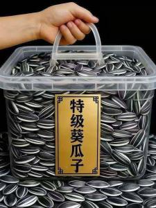 Unflavored Roasted Sunflower Seeds Extra Large Kernels