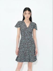 Dazzle | Acetic Fiber Blend V-neck Floral Dress