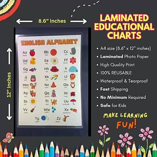 Laminated Educational Charts for Kids Wall - A4 Size ABC Numbers Colors ...