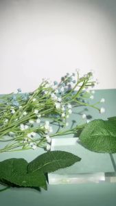 Beauty Of Joseon Green Plum Refreshing Cleanser (100ml)