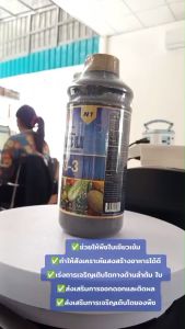 ปุ๋ยน้ำ 16-3-3 เอ็นวัน บำรุงต้นใบ ผสมธาตุอาหารเสริมครบถ้วน ขนาด 1 ลิตร ดวงตะวันเพชร