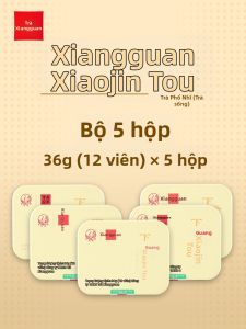 XIAGUANTUOCHA | Bánh Trà Puer Thô Xaguan Tuocha 5 Hộp 40g