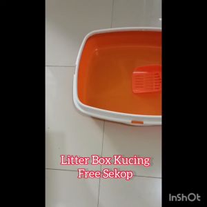 Paket Hemat Cat Litter Box Bak Pasir Kucing Free Sekop Ukuran XL