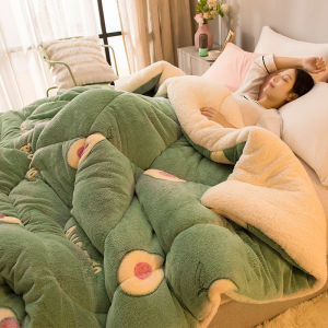 Double Faced Flannel Thick Winter Lambwool Quilt