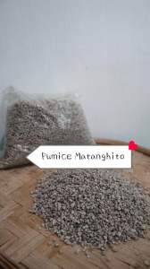 Pumice monggo size pumice matanghito size pumice mais size pumice stone