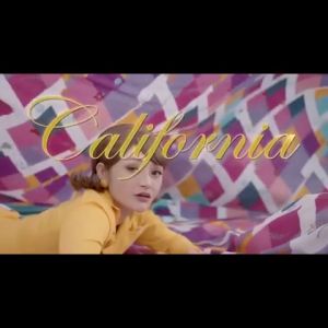 California Sarung Bantal Guling California - Kain Microtex Lembut dan Tebal dengan Harga Ekonomis