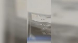 #PRRO Anti Allergy Washable Pillow Protector: A Layer of Protection & Comfort (Washable)