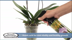 Growth Technology Orchid Myst 300ml (Ready to Use Orchid Nutrient Orchid Fertilizer Orchid Growth Enhancer Orchid Pest Repellent Orchid Tonic Orchid Leaf Conditioner)