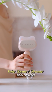Haier Foldable and Portable Travel Garment Steamer Iron for Clothes