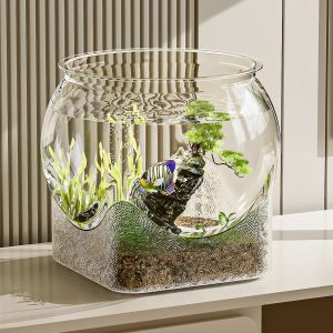 Jiaxun | Bể Cá Thủy Tinh Trong Suốt Bền Chống Xước