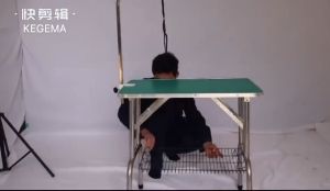 A Comprehensive Guide to Foldable Heavy Duty Iron Beauty Tables for Pet Grooming