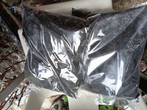 PURE DRY COW MANURE 5KILOS SULIT PACK MAGANDA SA HALAMAN ORGANIC FERTILIZER