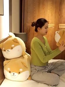 TAOZIAWA | Pig Stuffed Toy Doll Plush Toy Sleeping Companion Pillow