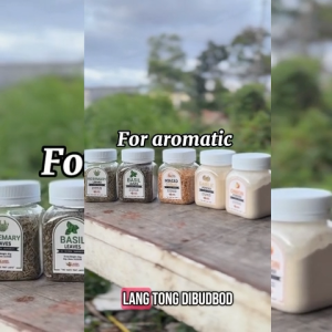 Parmesan Cheese Powder by Baryo Natural Cheese Seasoning Powder for Pasta Fries Popcorn & Snacks