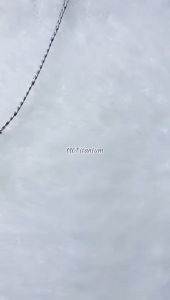 Kalung Trending Pria Dan Wanita Kece Model Hiphop Liontin Bulu Silver Aksesoris Titanium Antiakarat Terlaris