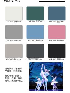 Professional Dance Room Court Mats Ballet Dance Room Special Chinese Classic Dance Childrens Classroom Plastic Floor Stage Floor Rubber Mat