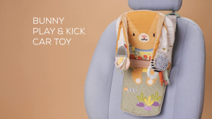 Taf Toys Bunny Play & Kick Car Toy