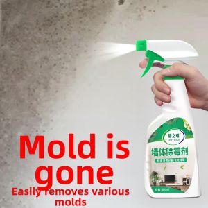 PITT ROAD | Mold Removal & Prevention Wall Cleaner